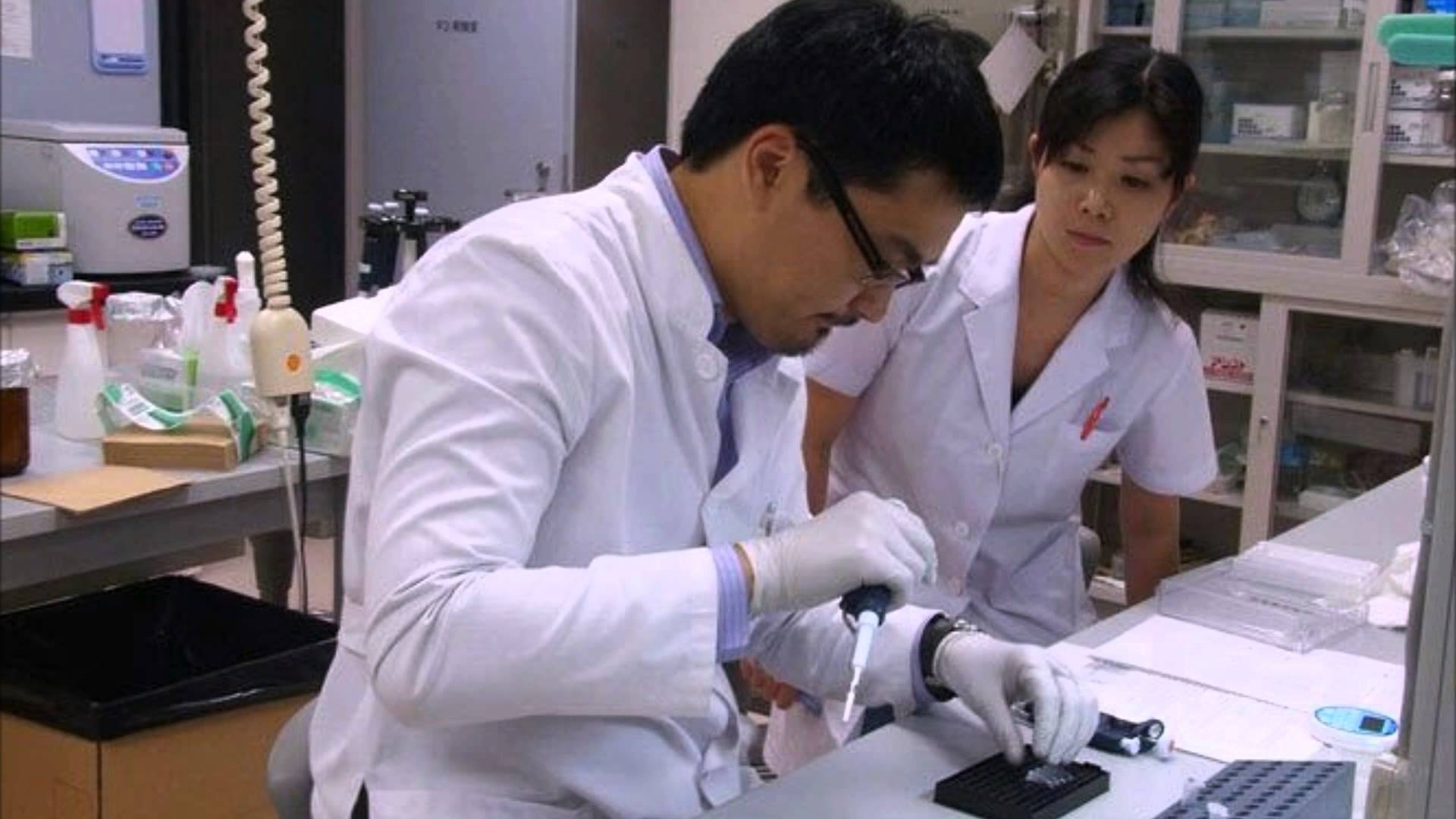 Ученым из Японии удалось "вырастить" зуб
